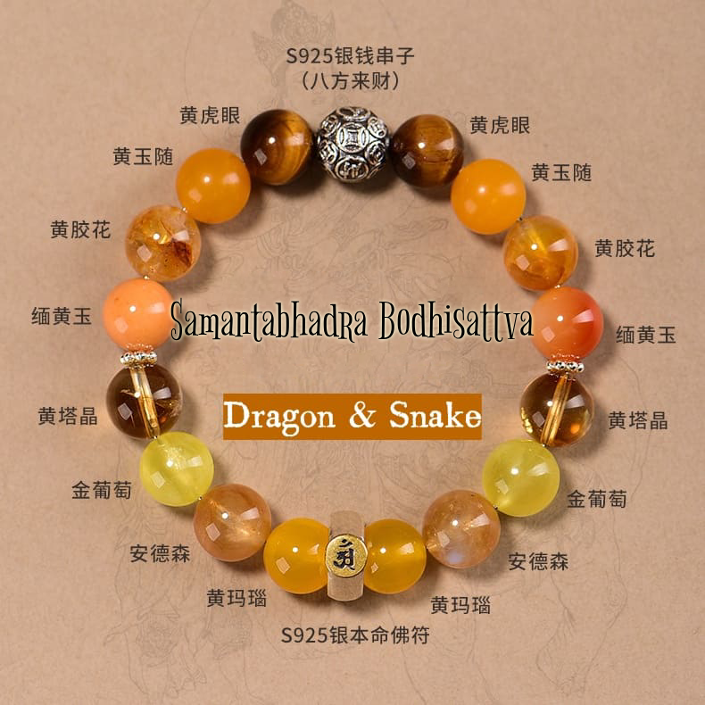 2026 Zodiac Forecast Ranking-Dragons & Snake